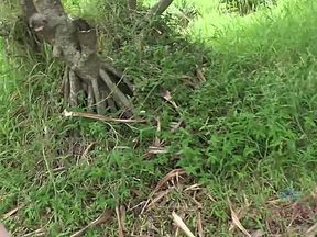 You Explore The Lovely Island With Melody