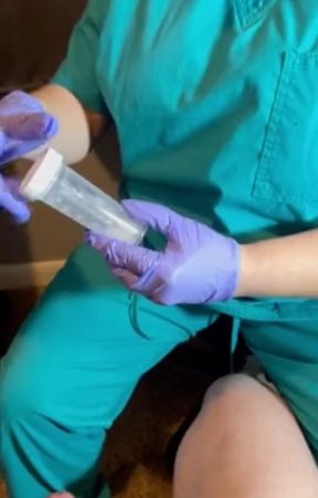Sperm bank nurse in Nashville strokes my sample out and collects it