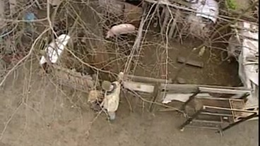 Julia Swen Enjoys a Facial after Sucking off behind the Shed