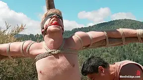 Edged In The Deep Woods