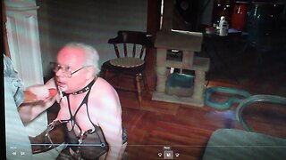 Erachi submissively sucks his insulting daddys cock on cam - cumshot, cam, cock, sucking, cumming, daddies, daddy, blowjob