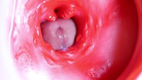 A Big Red Cock Inside a Juicy Hole Can Give Sperm at Any Moment!