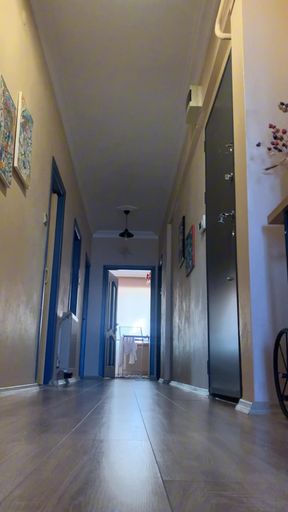 I showed my dick to the pizza boy (no bra, no panty)   Clip 1