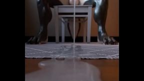 Furry Futa Wolf Cumming