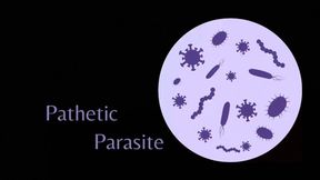 Pathetic Parasite - Audio Only - Lilith Taurean Verbally Humiliates You