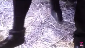 Girl in cage, guy with huge shaft pleasuring her