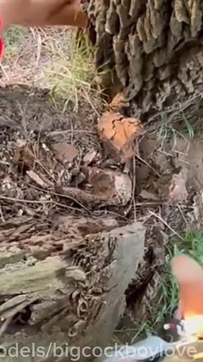 Showed a Dick to the Drivers of a Random Twink Athlete with a Big Dick Fucked on the Highway