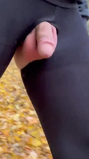 I wear see-through leggings in a park. Nudity