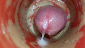Camera 4k in Vagina, Cervix POV, &quot_Creampie&quot_ ASMR