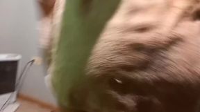mi cunada osada se pasea en toalla y terminamos follando mientras mi esposa esta trabajando