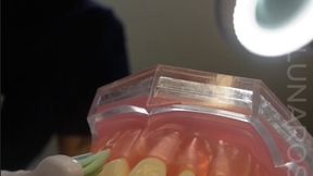 8 min POV Dental Procedure with real dental unit