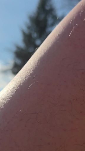 Cock games at home and outdoors   Clip 1