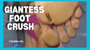 POV Crushed by Giantess Lina's Massive Feet