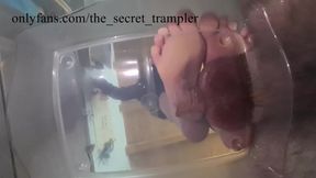 Stomping the cum out from your balls (preview)