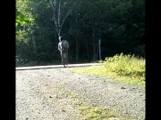 skeleton masked wetsuit on the road
