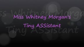 Miss Whitney Morgan’s Tiny ASSistant - wmv