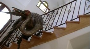 Stunning girls share a cocky dude drilling them to contentment