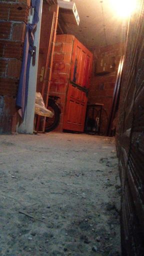 Male-to-female Transition