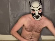 Alpha pup sniffs pits and cums on sweaty briefs