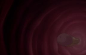 Tsuma no haha The series dubbed