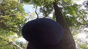 Mega ass stuck in a tree (1920x1080 FULL HD)MP4