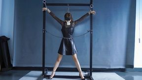 CC132 HANDCUFF AND SHACKLE SUSPENSION BONDAGE DEVICE STRUGGLING DOMINATION