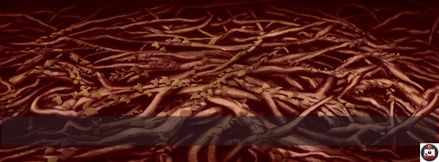 [Gameplay] Dragon Ball Super Lost EP - (PT 03) She cant wait for Broly Dick