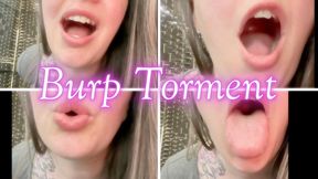 Burp Torment