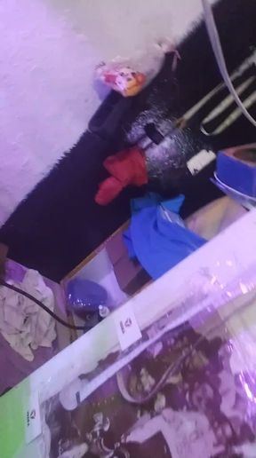 I pull it rich looking for ladies cdmx