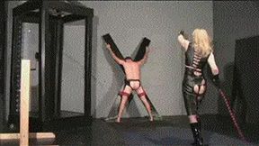 Bullwhipped By Ms Ella (MP4 HD)