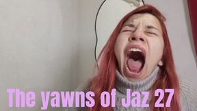 The yawns of Jaz 27