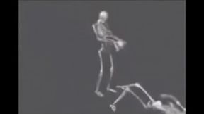 eh o minin de papai eh