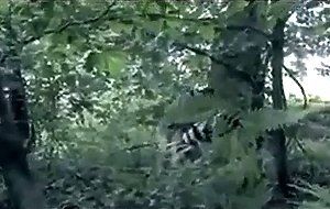 gaymainstream- shank