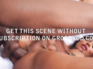 TRANSSEXUALS XXX - Compilation Updates fourth to 8th Aug '25