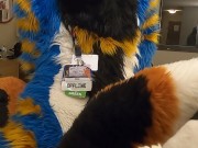 good kitty fucks the cum out of the bad dog then cums hands free