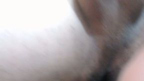 Jesse Suarez Private Show