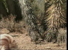 Outdoor fuck in lingerie, for the blonde MILF with a facial ending - outdoor