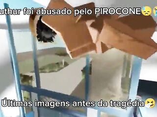 Ruthur foi TORADO pelo PIROCONE EM CÂMERA!!! Últimas imagens antes da tragédia...