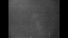 Disgusting Lesbian Lust