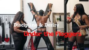 Discipline Desire Under the Floggers