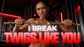 I Break Twigs Like You