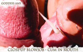 Close up Blowjob Cum in Mouth - Brazilian Cumslut Amy Hart