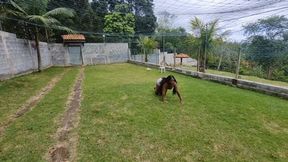 loadingMorganawalkiriafull