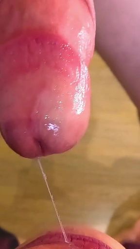 Fpov: Now You're Going to Suck Dick and Drink Cum