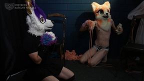 FURRY CHALLENGE by MISTRESS KATELYN HD 720p