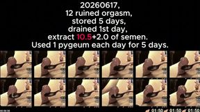 Ruin Orgasm 12 Times in a Row 260617