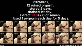 Ruin Orgasm 12 Times in a Row 260617