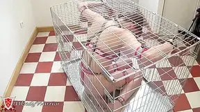I Am Locked In Full Heavy Chastity Stuff And Pushed In A Cage