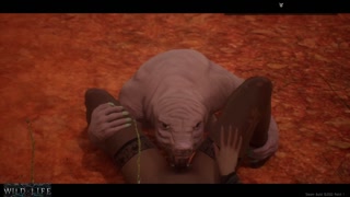 A cute girl gets fucked by a little monster - Wild Life