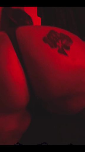 Red Light District Series Nikki Cakes